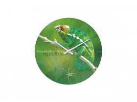 Часы настенные Nicole Time NT503 в Олёкминске - olyokminsk.mebel-nsk.ru | фото
